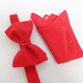 Rød polkaprikket butterfly og lommetørklæde